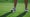 Golf player legs stand at golf course grass. Woman swinging golfing shot outside close up. Unknown professional sportswoman get ready hitting ball on fairway. Leisure exercising rich lifestyle concept