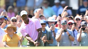 tiger woods hits a chip shot during the 2024 u.s. open