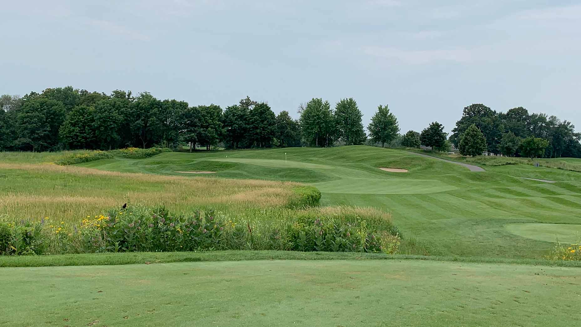 the 6th hole at chaska town course.