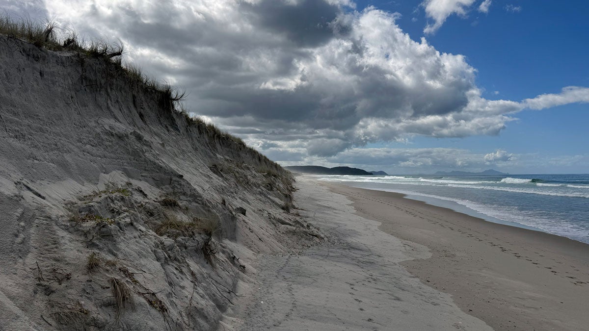 Te Arai, on the north coast of New Zealand