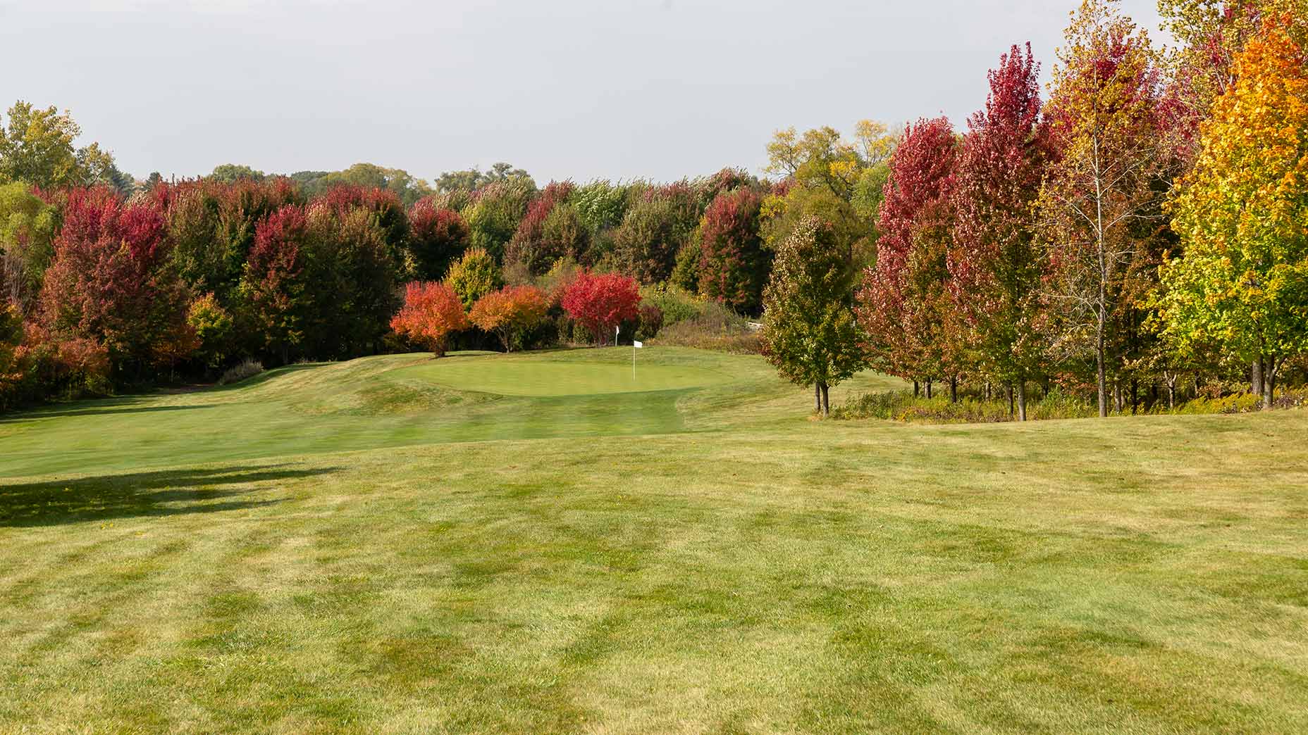 A fairway and green at Bunker Hill Farms