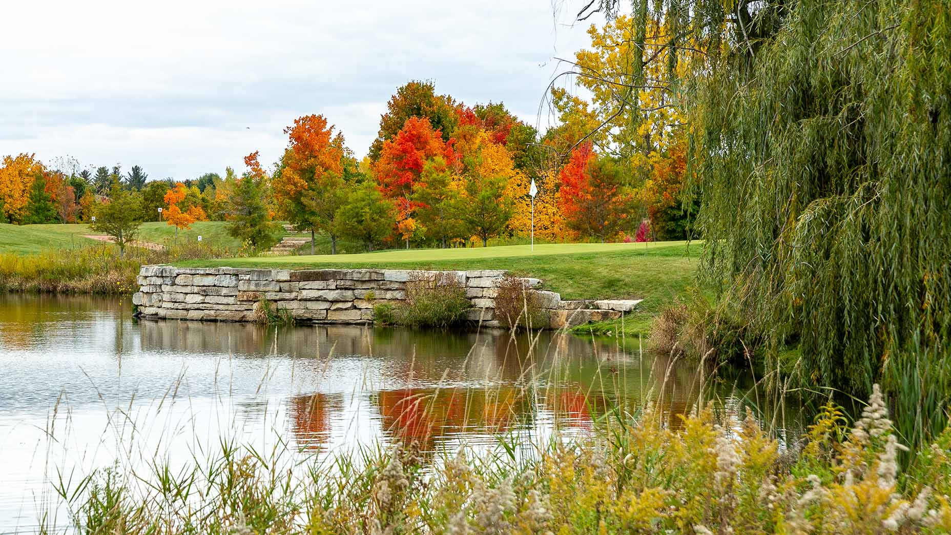 A green at Bunker Hill Farms