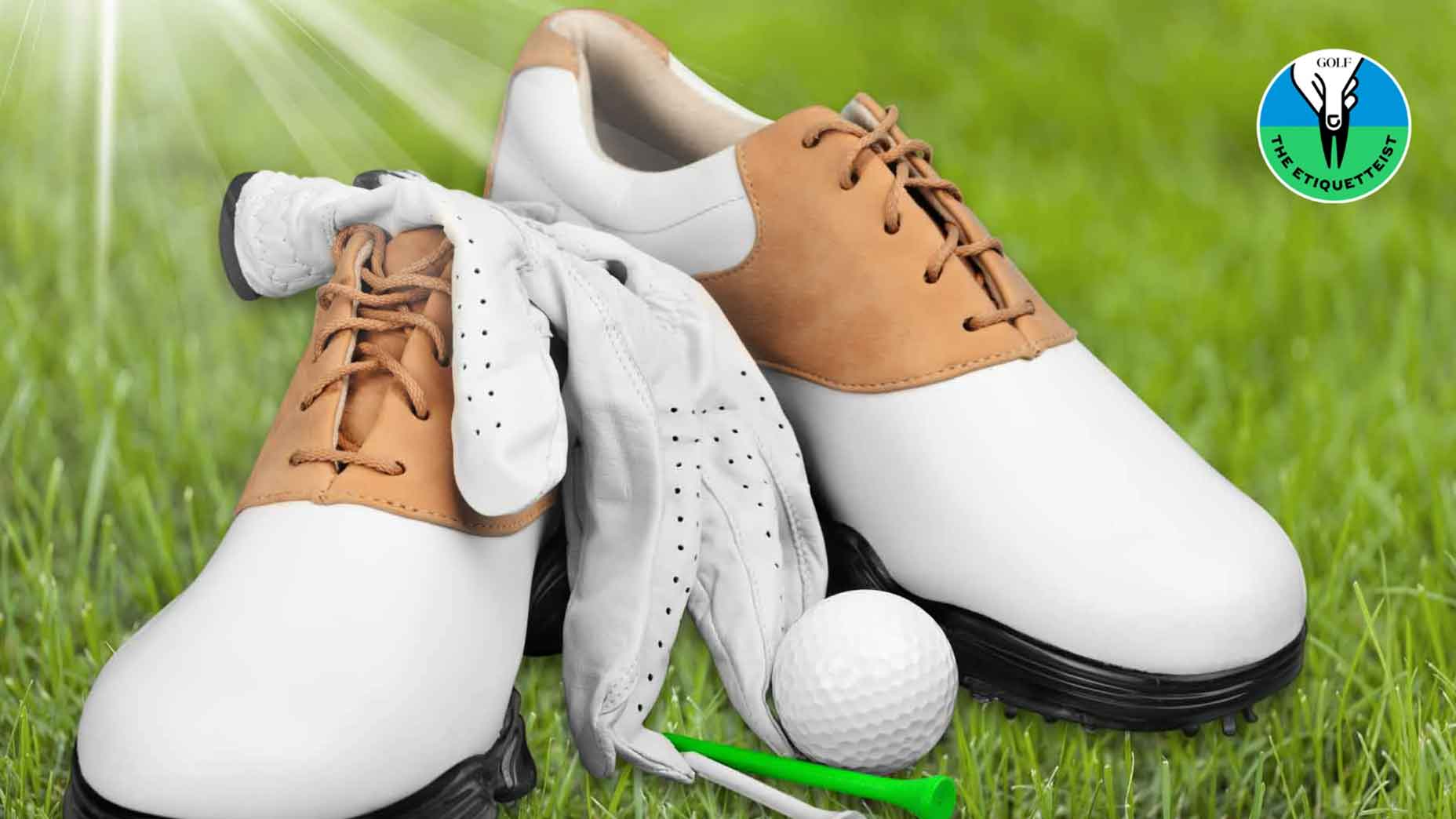 A pair of clean golf shoes alongside a golf glove and a ball.