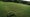 View of test plots of drought resistant grass from Oklahoma State University, currently growing at the far end of the practice range at The Mirabel Club in Scottsdale, Arizona on Friday, June 14, 2024.