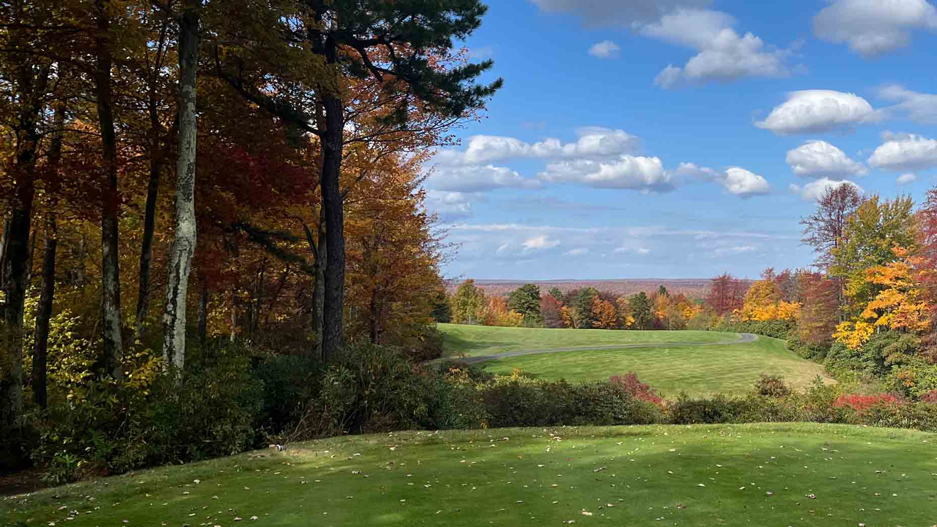 Golf’s ‘leaf rule’ is in full bloom, friends. Here’s what that means