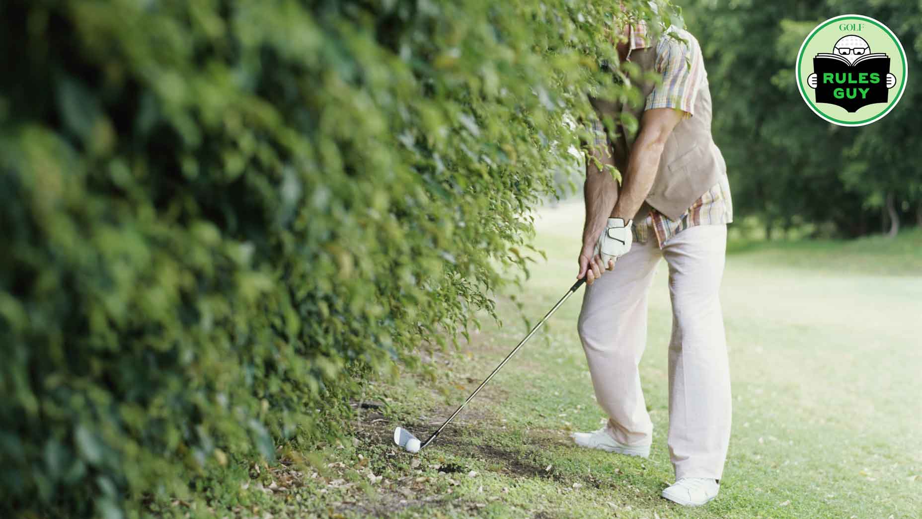 Man beside hedge preparing to hit golf ball, head obscured