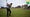 nick faldo hits a tee shot on the 18th hole of the old course