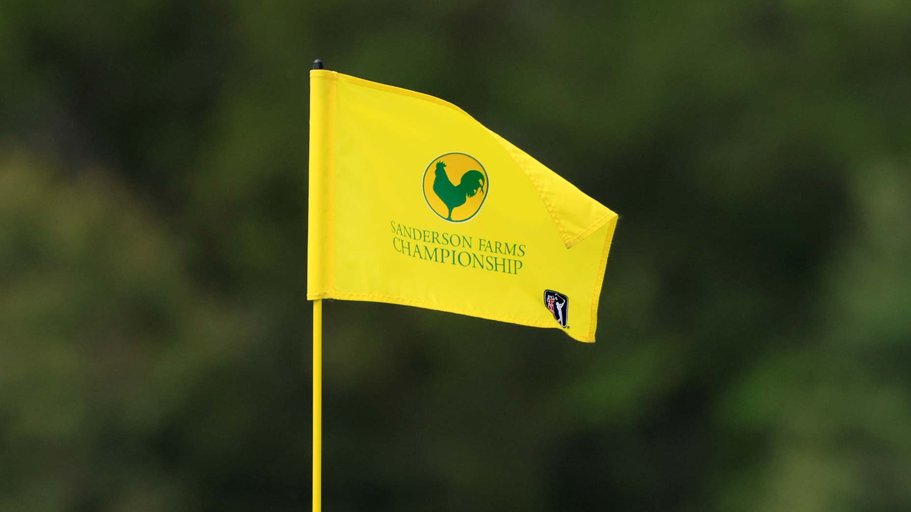 Flag pictured on the 4th green during the second round of the 2024 Sanderson Farms Championship at the Country Club of Jackson.