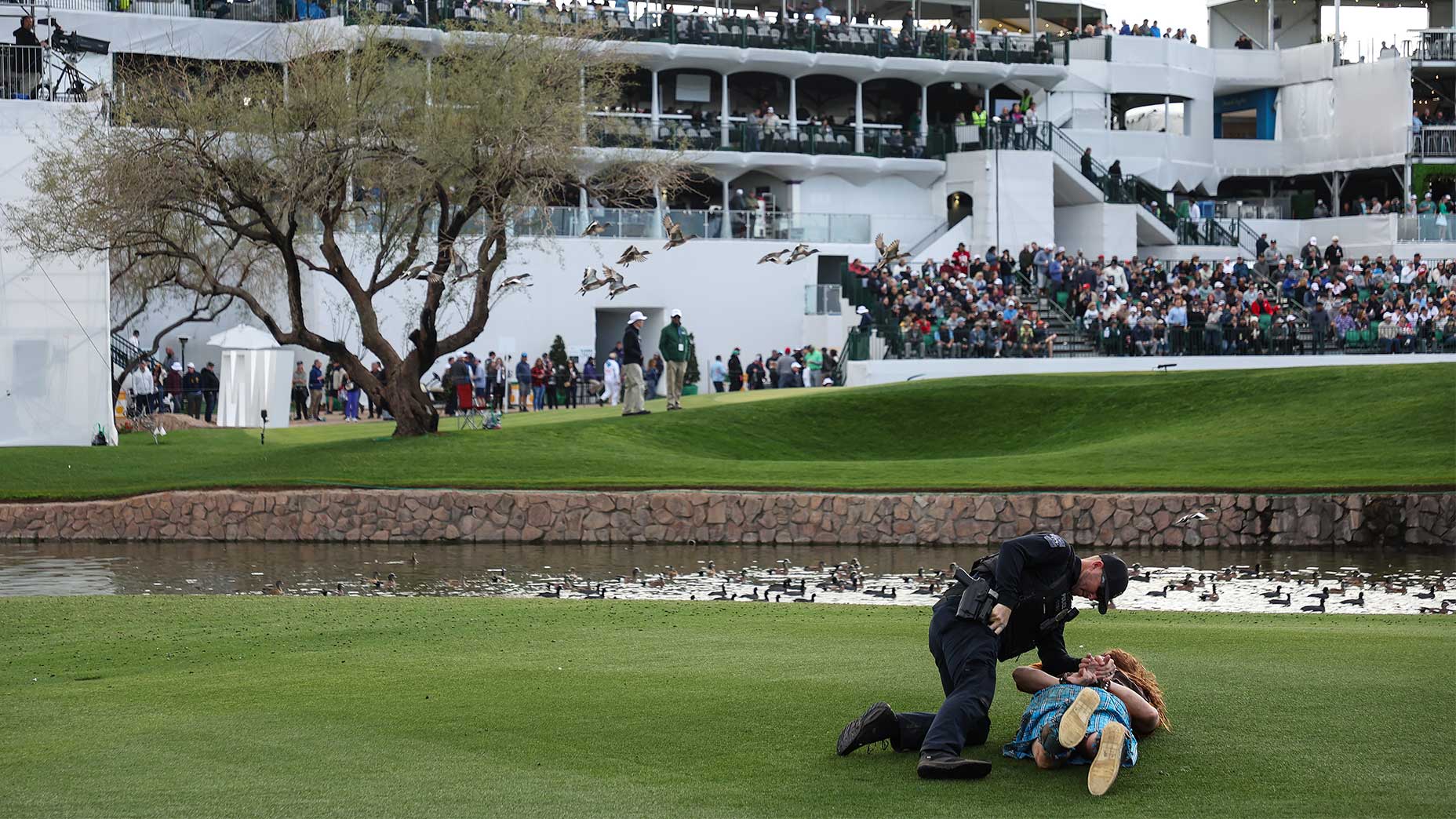 A police officer arrested a fan in front of the 16th hole at the WM Phoenix Open.