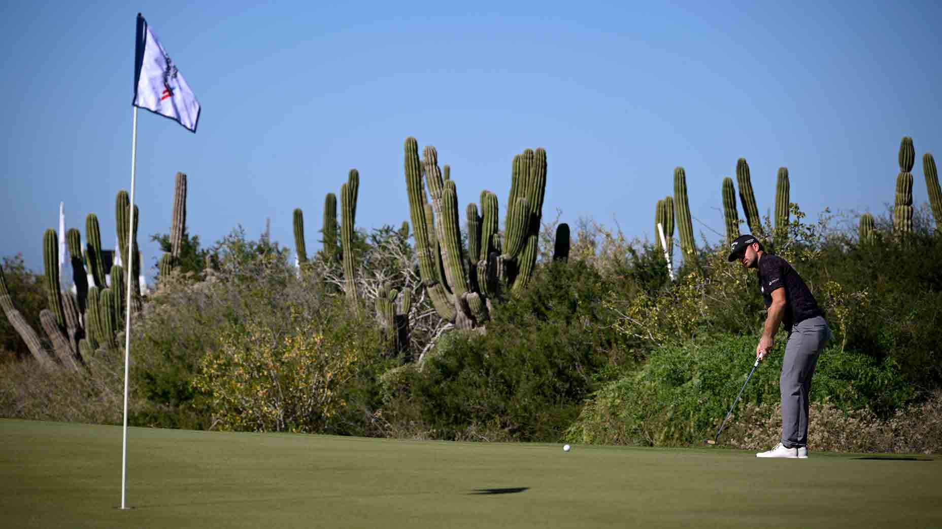 PGA Tour pro forced to hit 4-straight tee shots, drops 90 leaderboard spots 