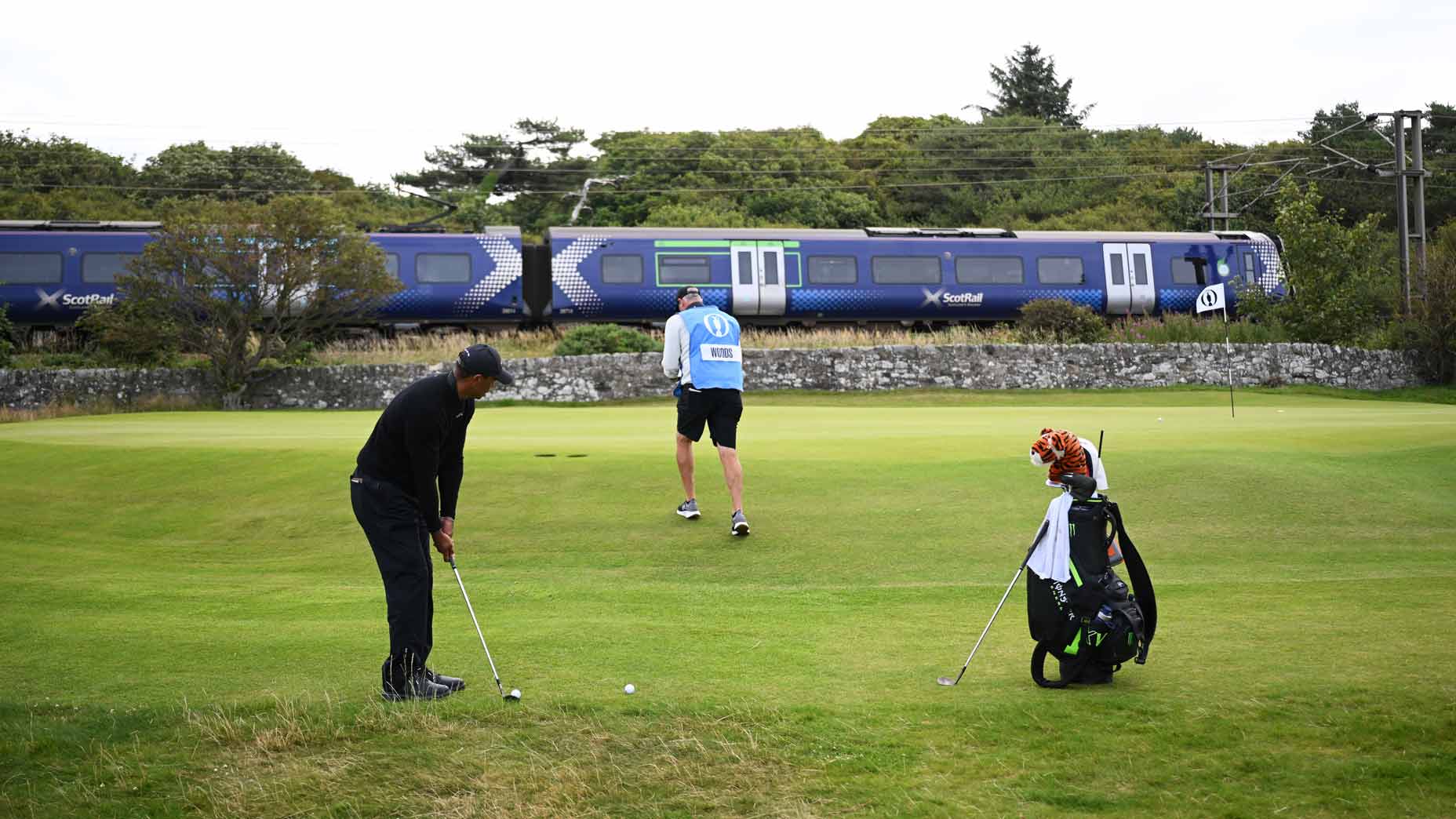 tiger woods practice chipping at the open championship