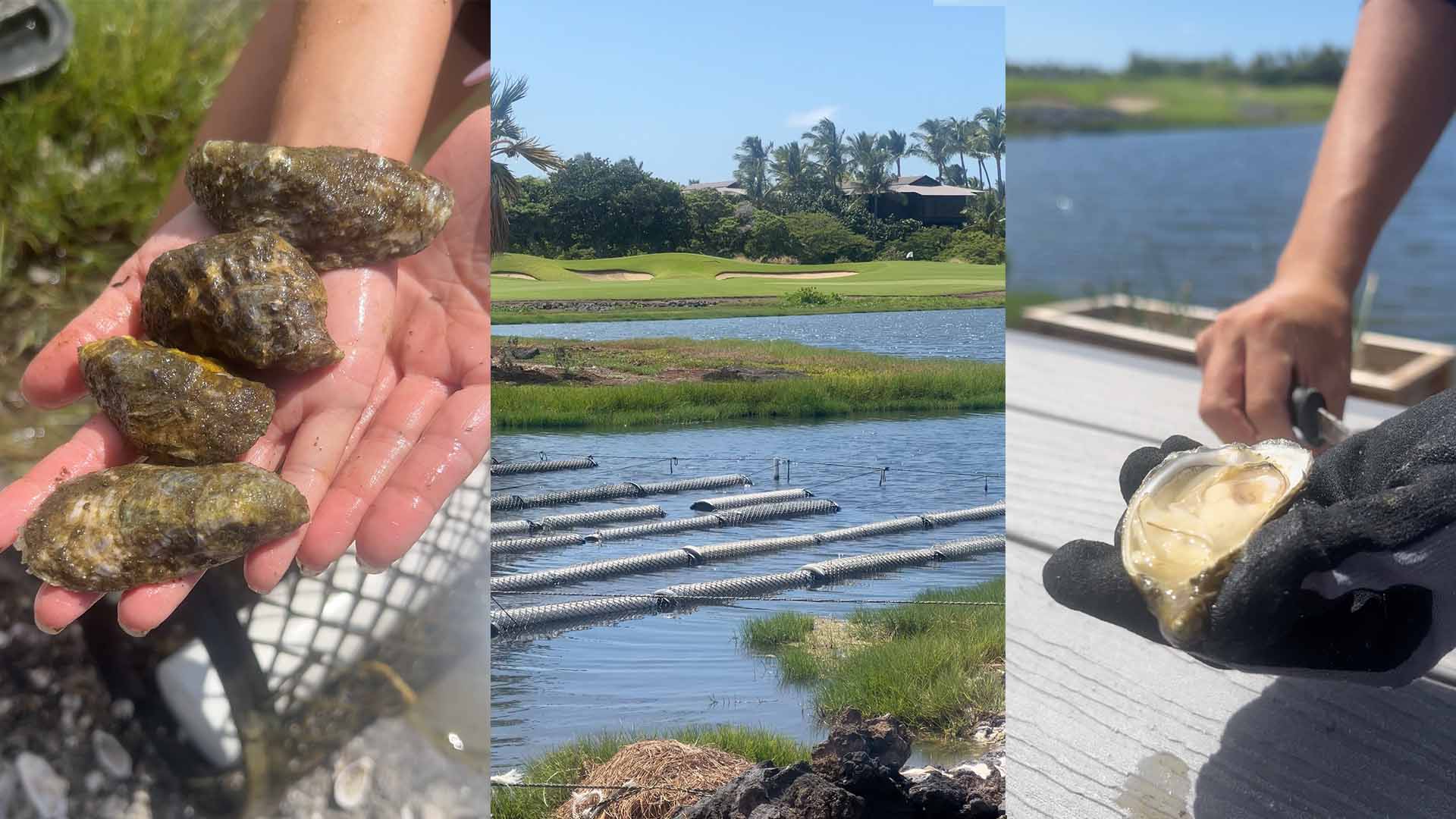 Ke’olu oyster pond golf course