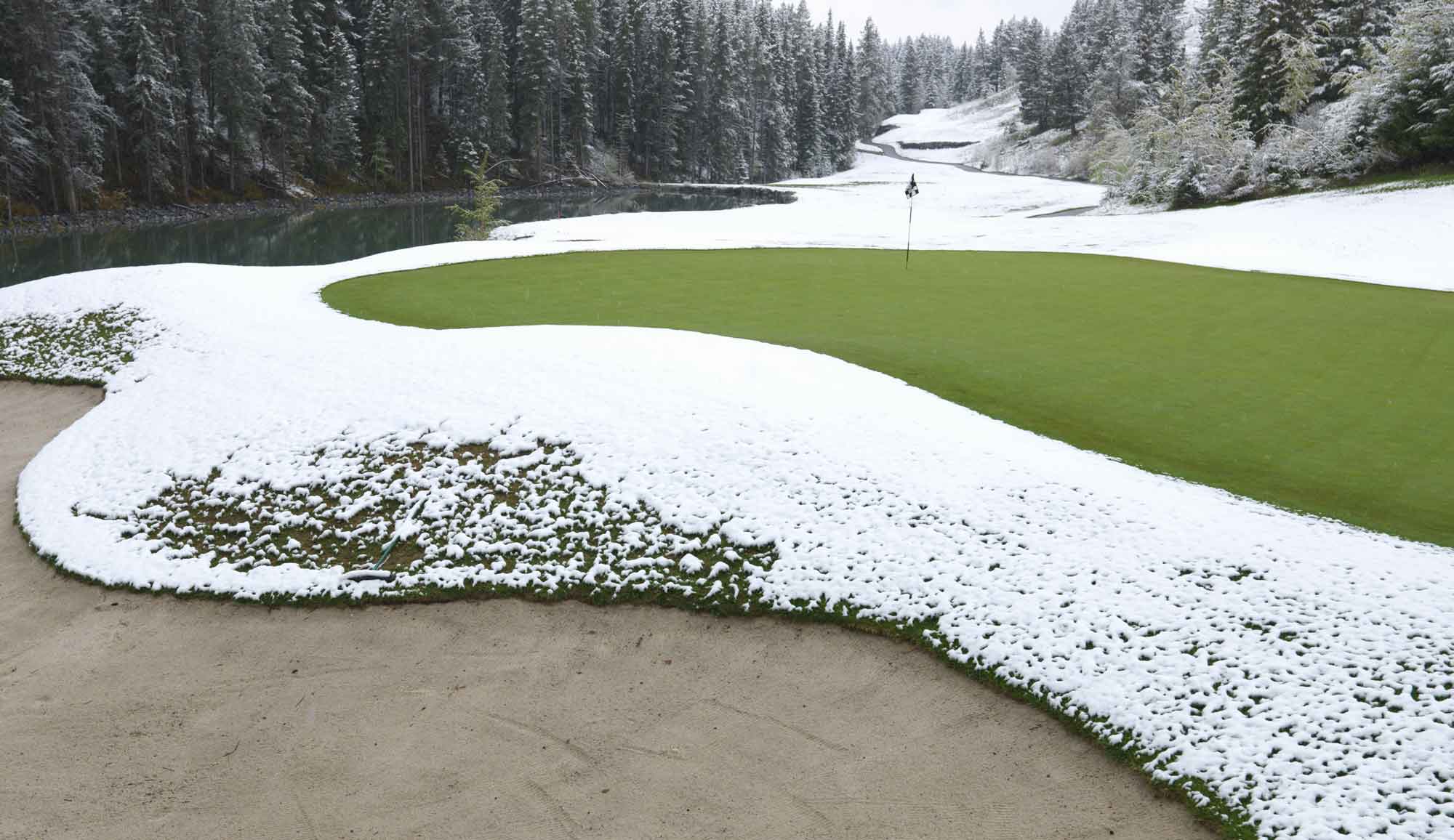 Golf course in winter