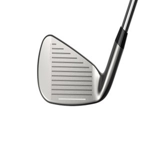 Cobra DS-Adapt iron face