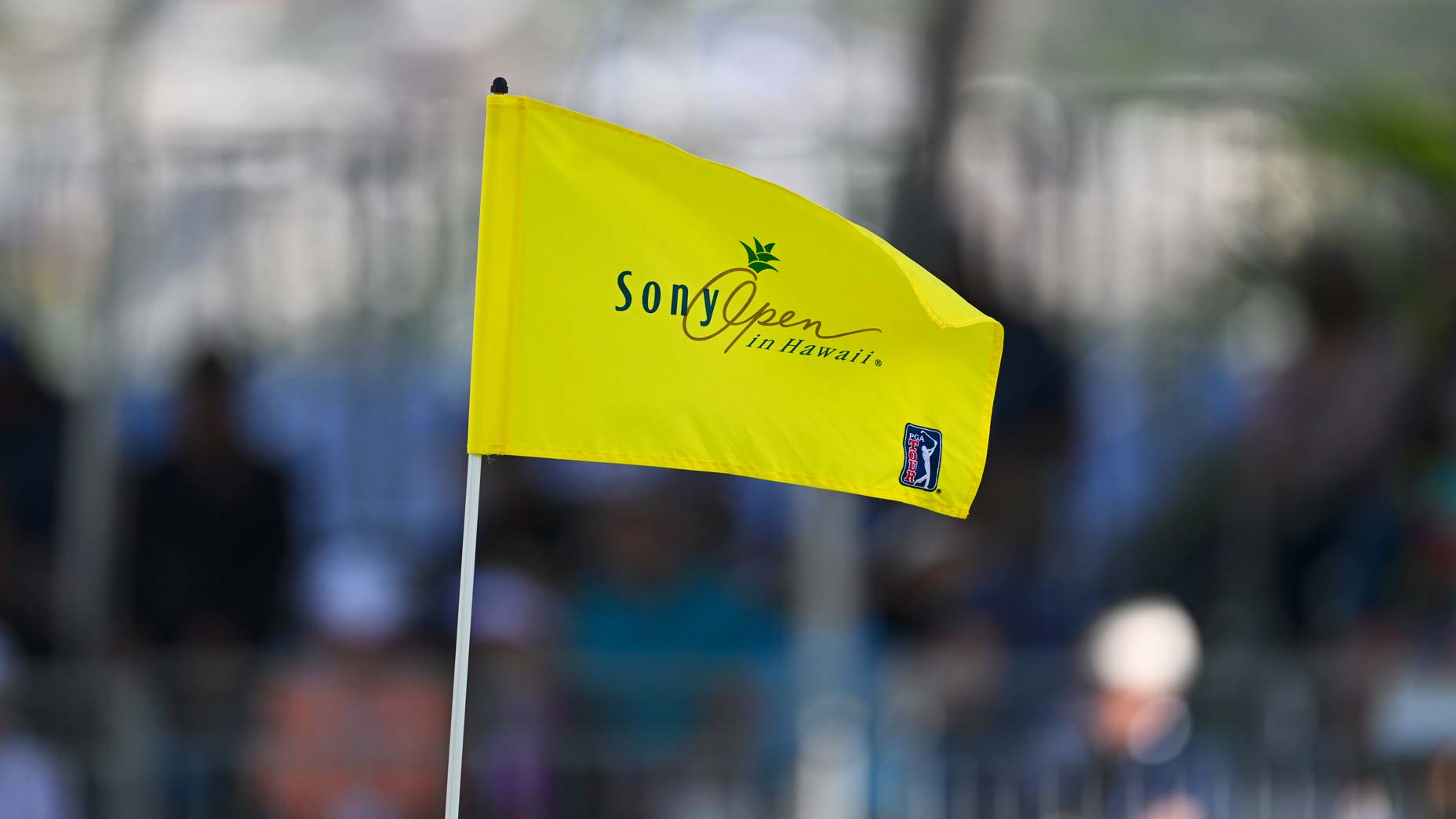 Close-up photo of Sony Open flag at the ninth green during the second round of Sony Open in Hawaii at Waialae Country Club on January 12, 2024 in Honolulu, Hawaii.