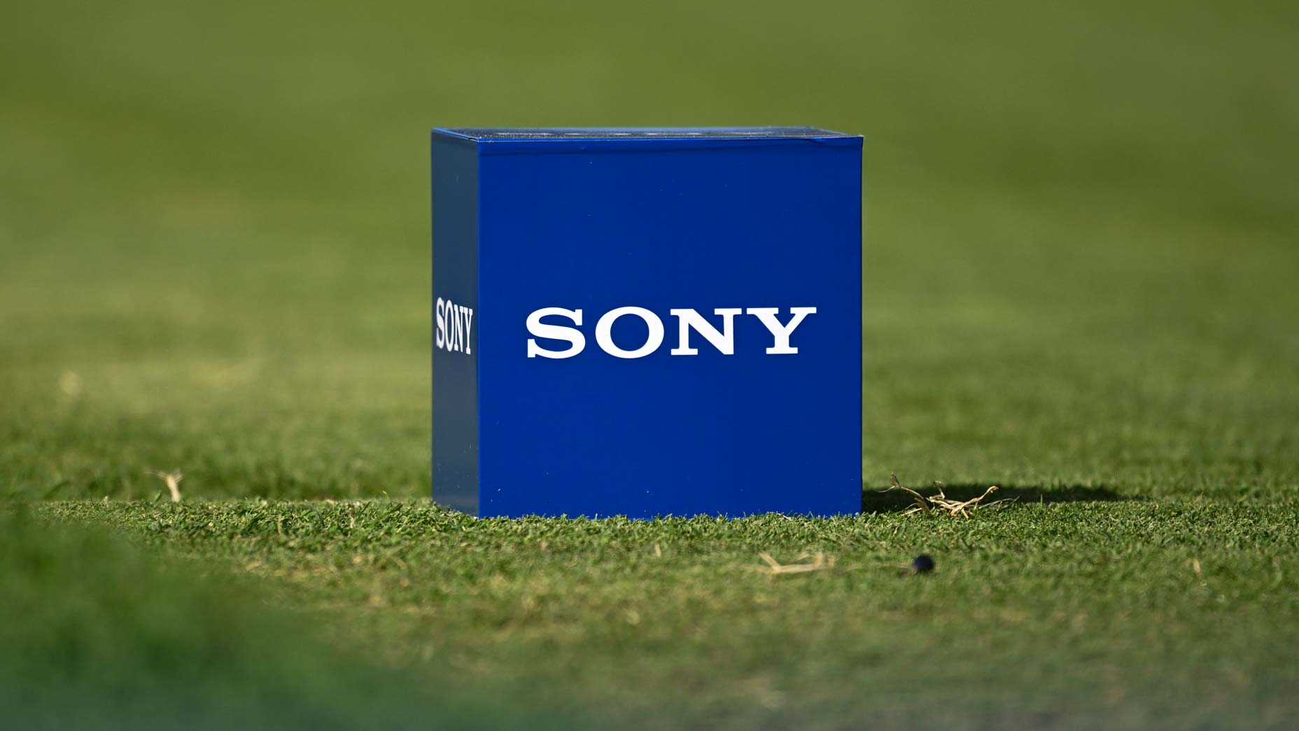 Sony Open in Hawaii tee marker during the second round of 2024 Sony Open in Hawaii.