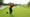 Aldrich Potgieter of South Africa plays his shot from the seventh tee during the second round of the Mexico Open at VidantaWorld 2025 at Vidanta Vallarta on February 21, 2025 in Puerto Vallarta, Mexico.