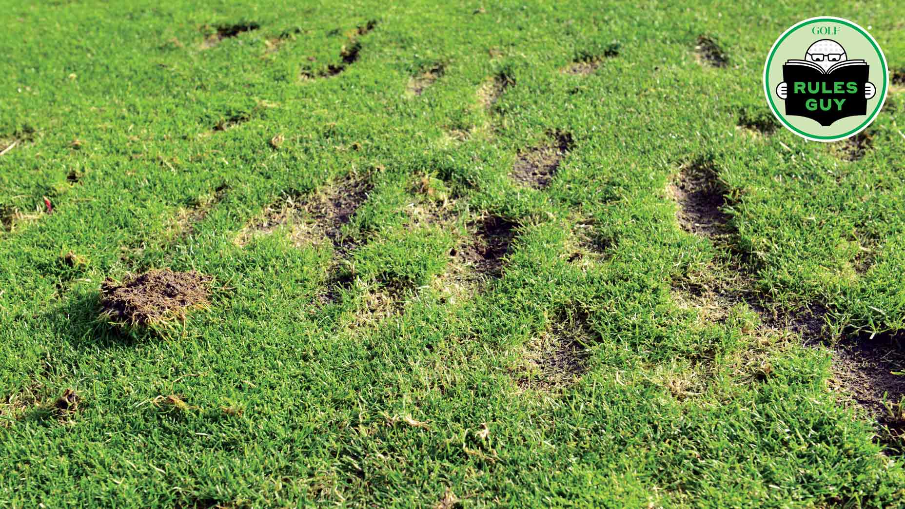 A grass area full of divots