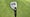 PGA Tour pro Thomas Detry's Callaway Epic 2-hybrid club.