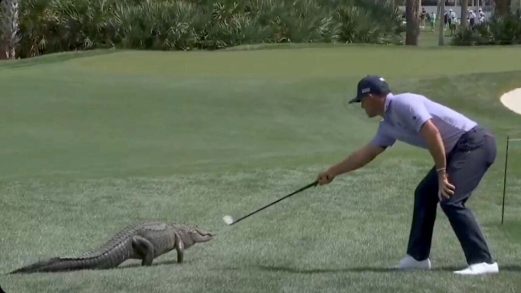 'I'm not afraid of gators': Pro unfazed after tussle with alligator at PGA National