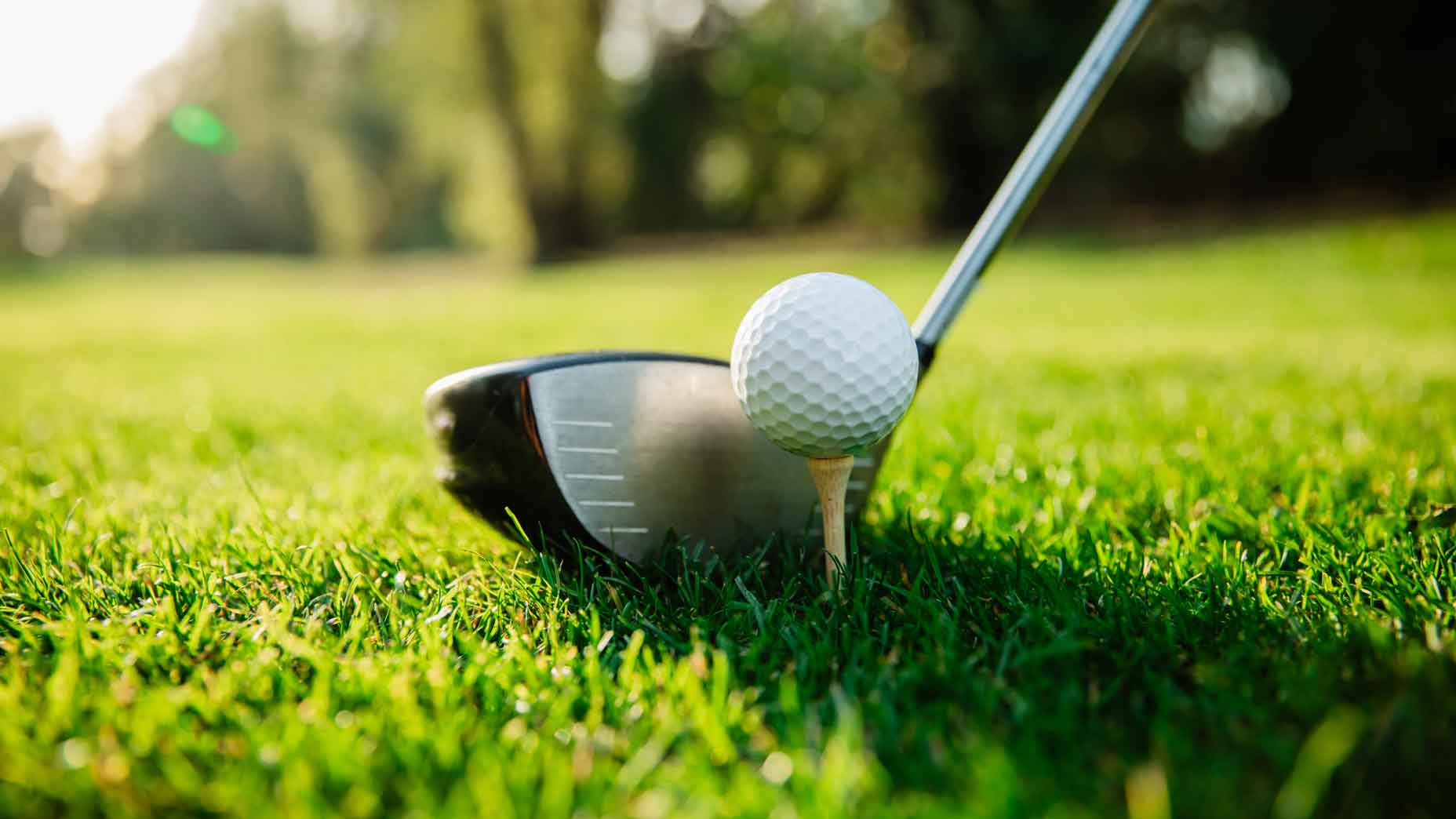 driver with golf ball teed up in front of it