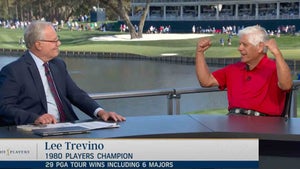 Lee Trevino, Mark Rolfing