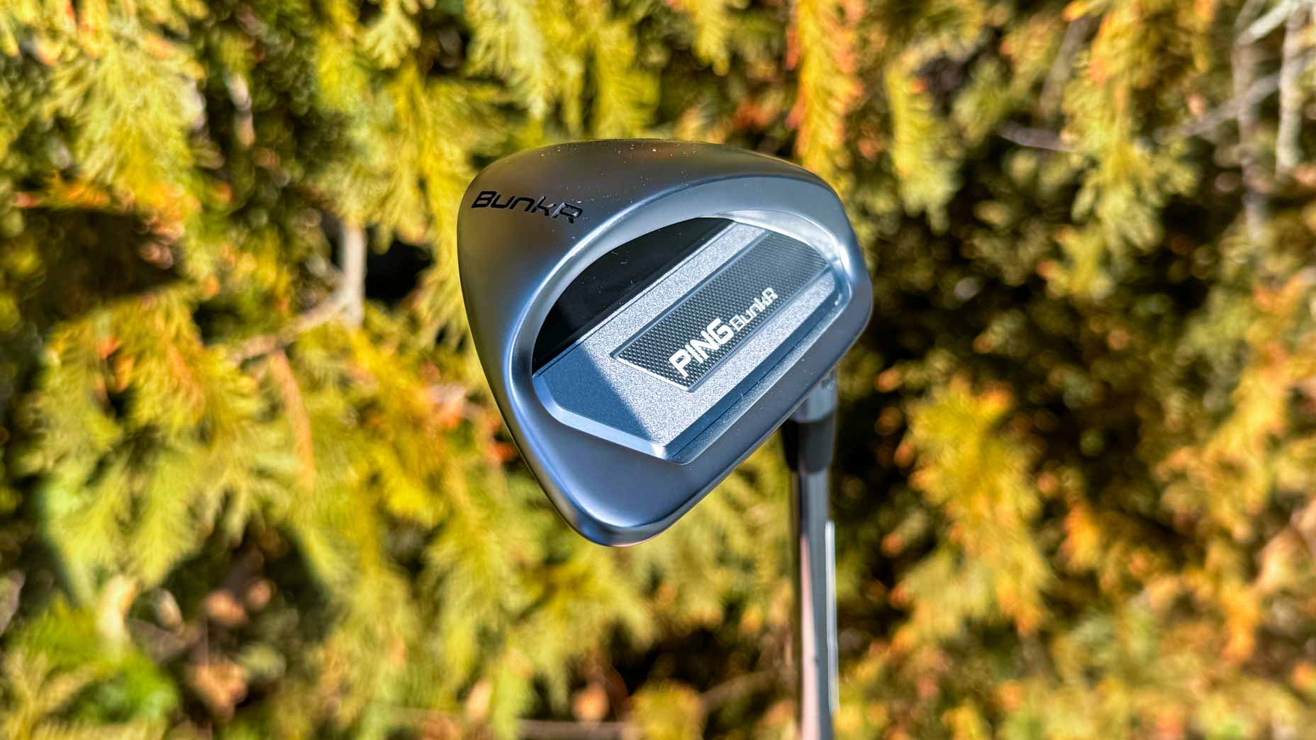 Ping BunkR wedge.