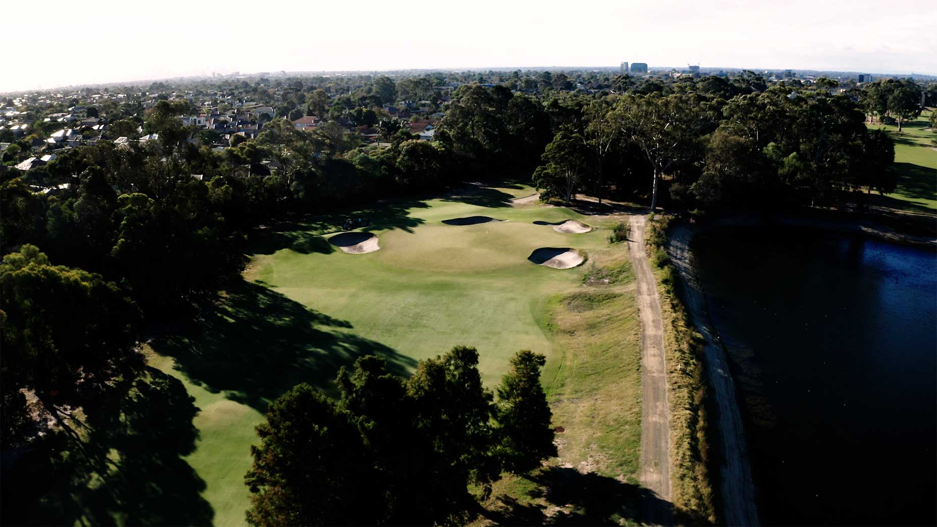 Elevated drone shooting of metropolitan pine trees