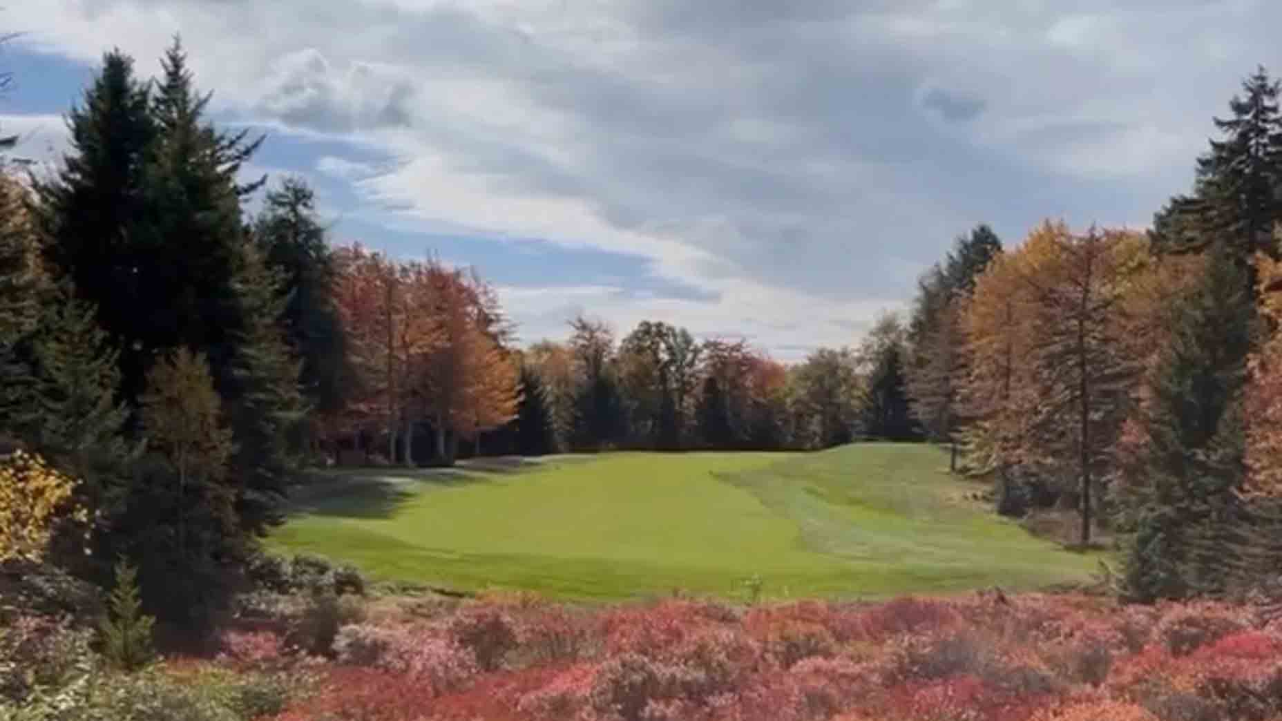 The ‘leaf rule,’ explained: How it can help save you during fall golf The ‘leaf rule,’ explained: How it can help save you during fall golf