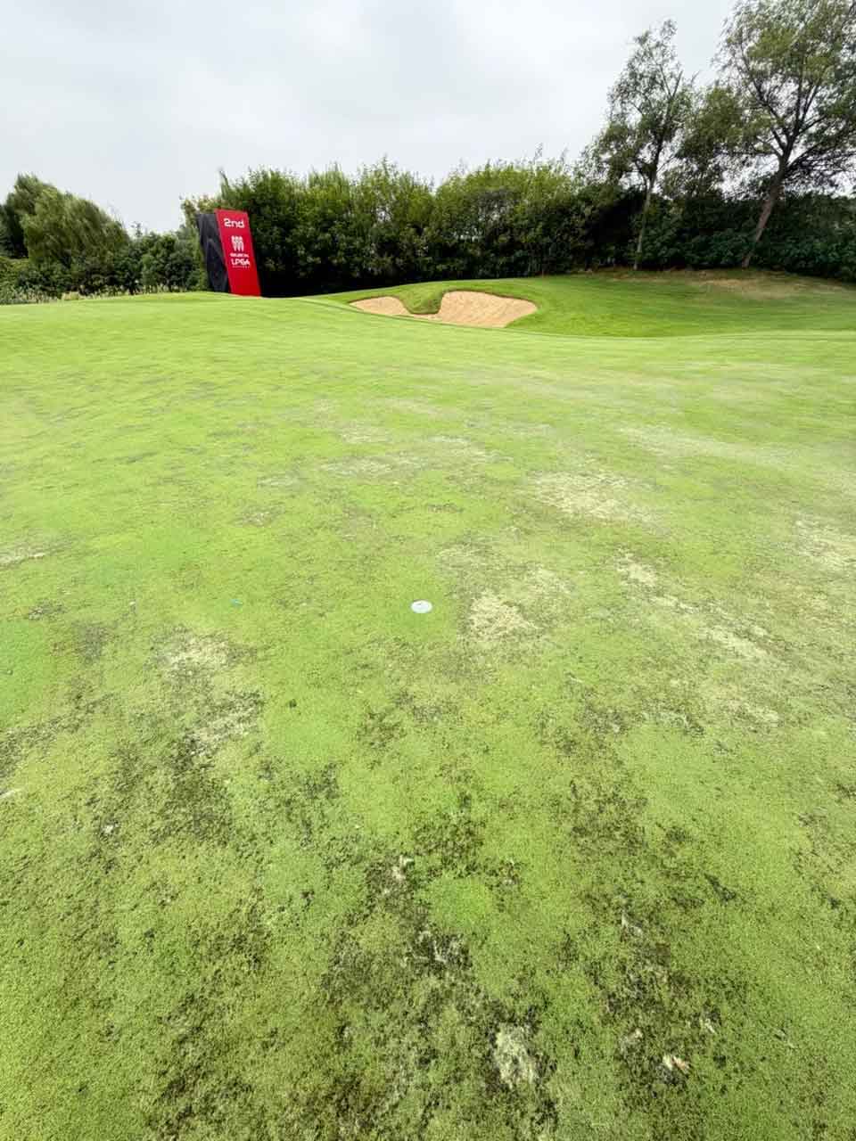 LPGA Shanghai greens