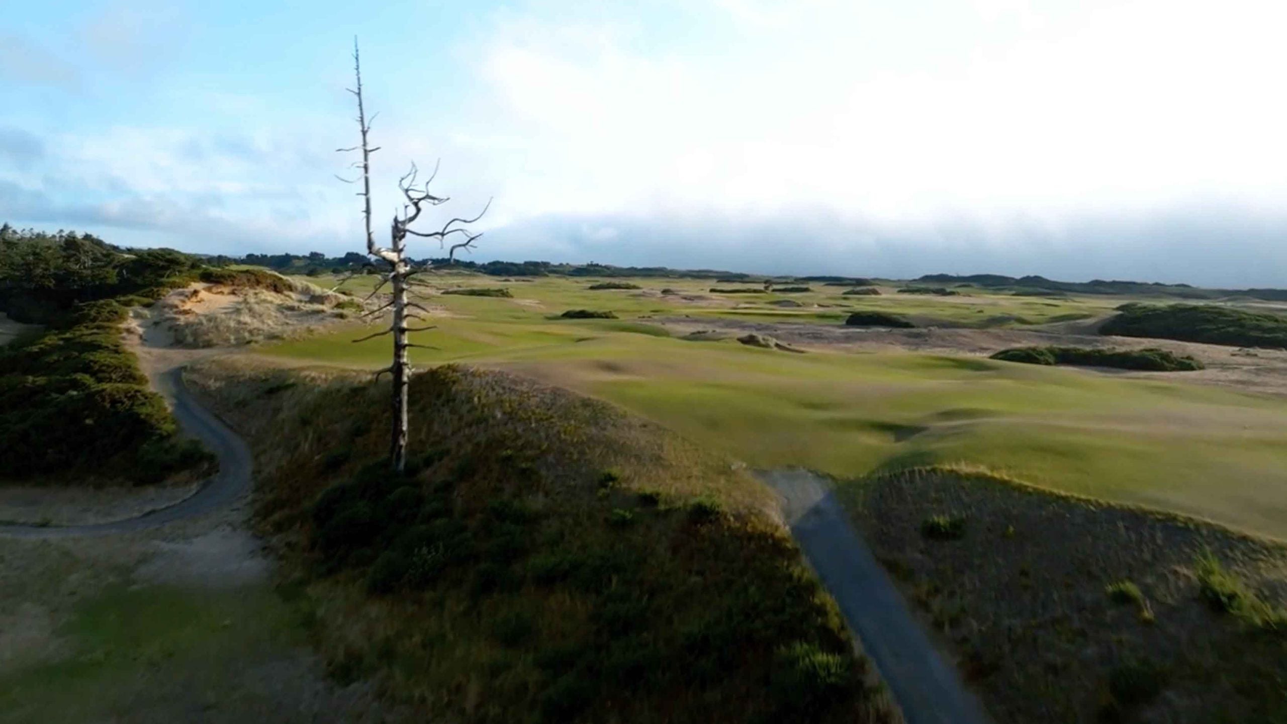 This Bandon Dunes par-4 has a famous tree — and so much more | The Hole Truth This Bandon Dunes par-4 has a famous tree — and so much more | The Hole Truth