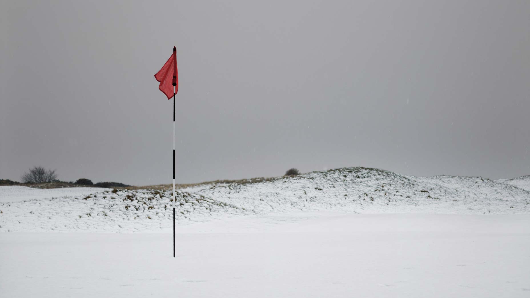 Golf in the snow.