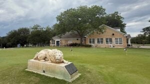 a view of lions muni