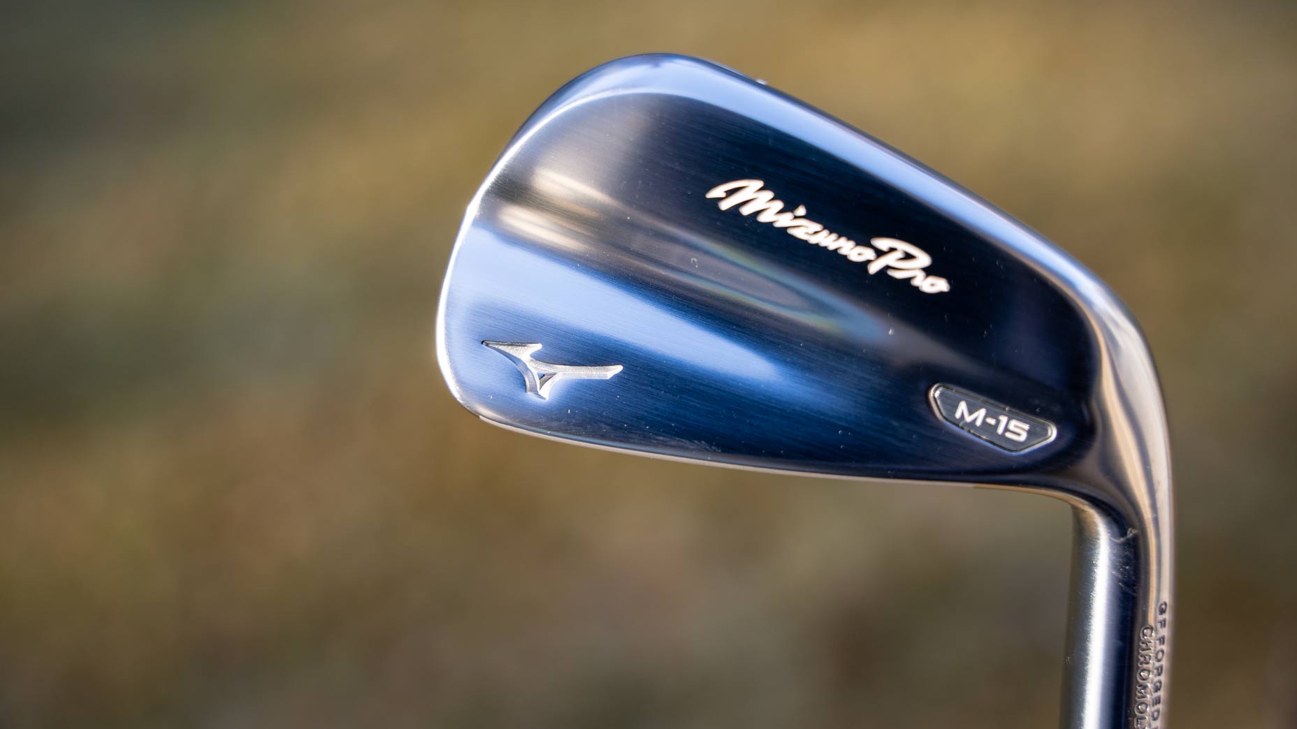 Mizuno Pro M-15
