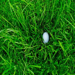 golf ball in long grass