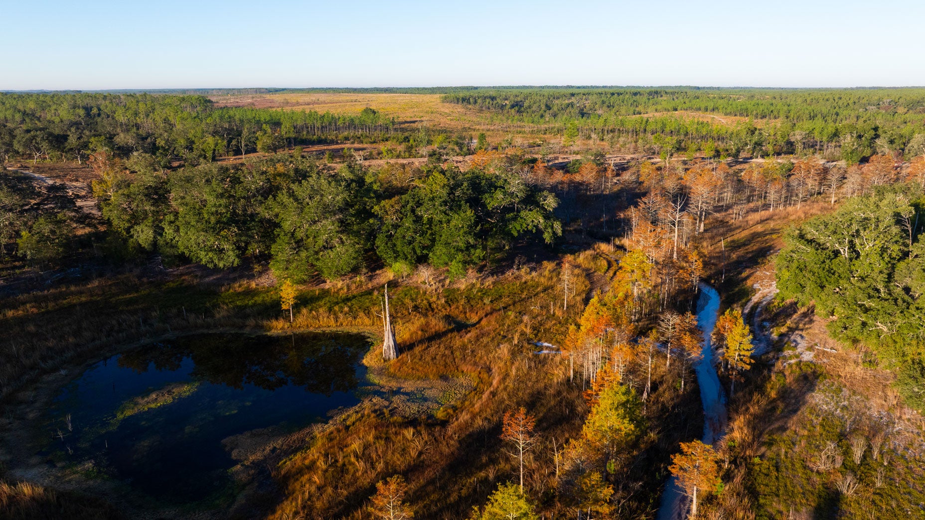 The site for Old Shores in Florida.