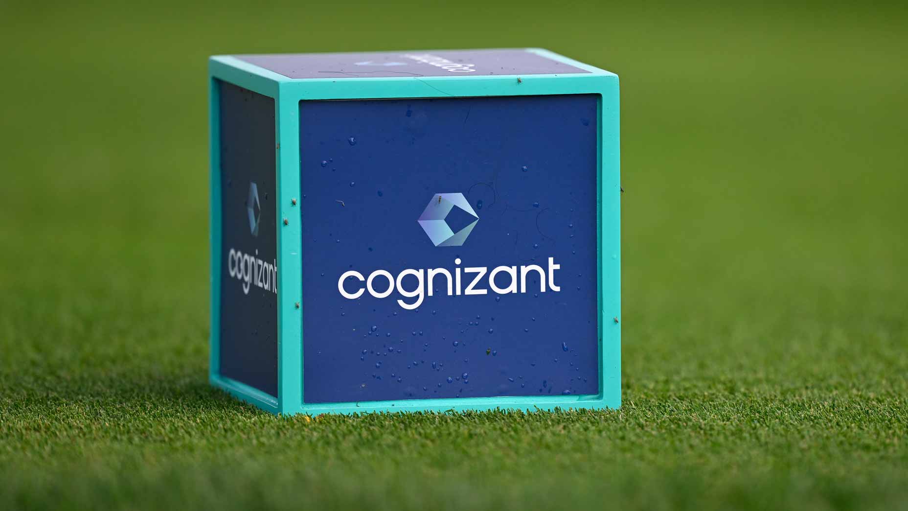 2026 Cognizant Classic: TV schedule, streaming info, how to watch, tee times