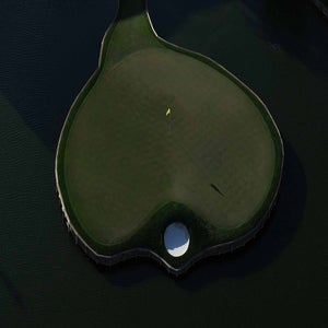 2026 Players Championship live updates for Thursday: TPC Sawgrass' 17th hole green.
