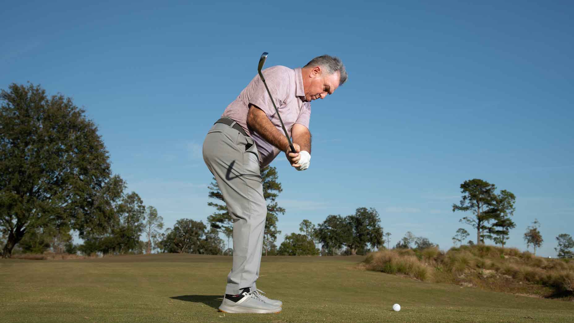 Brian Manzella Step 2 Downswing