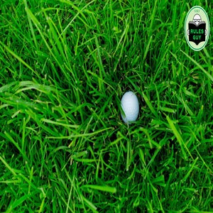 golf ball in long grass rough
