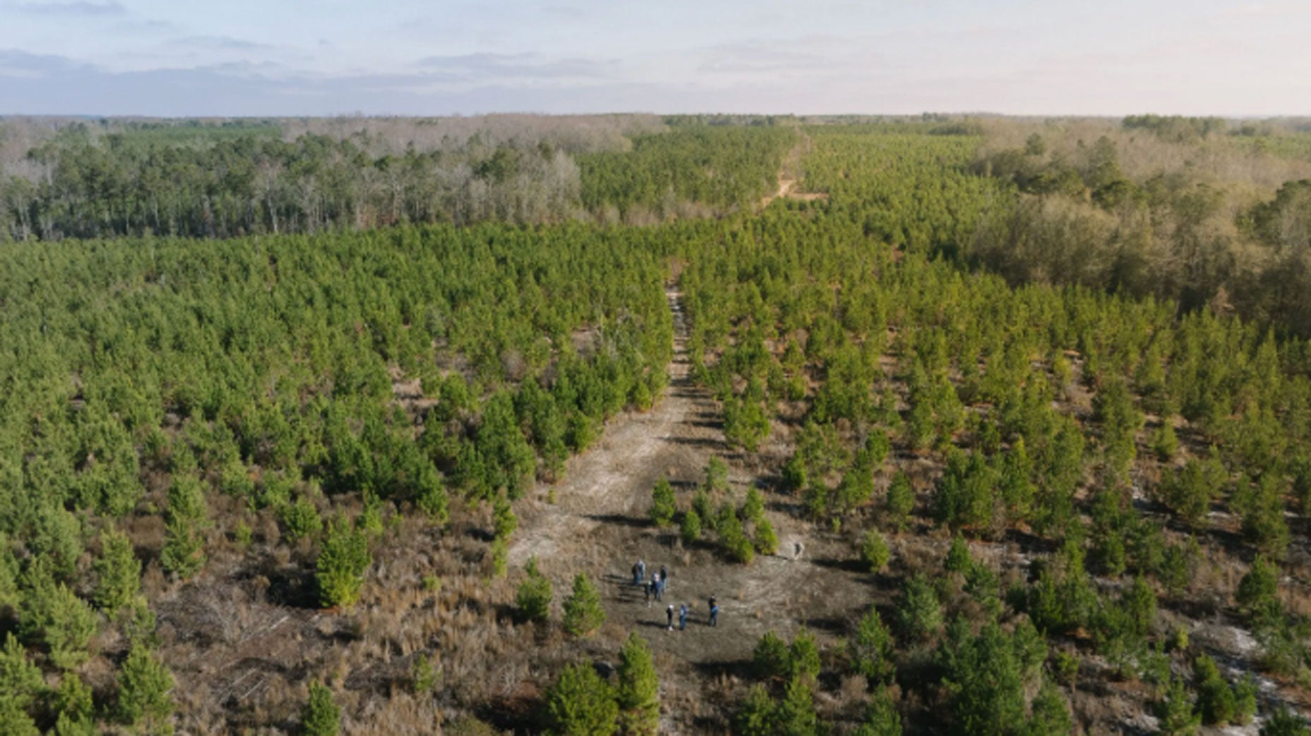 Golf’s worst-kept secret taking shape in the Carolina Sandhills Golf’s worst-kept secret taking shape in the Carolina Sandhills