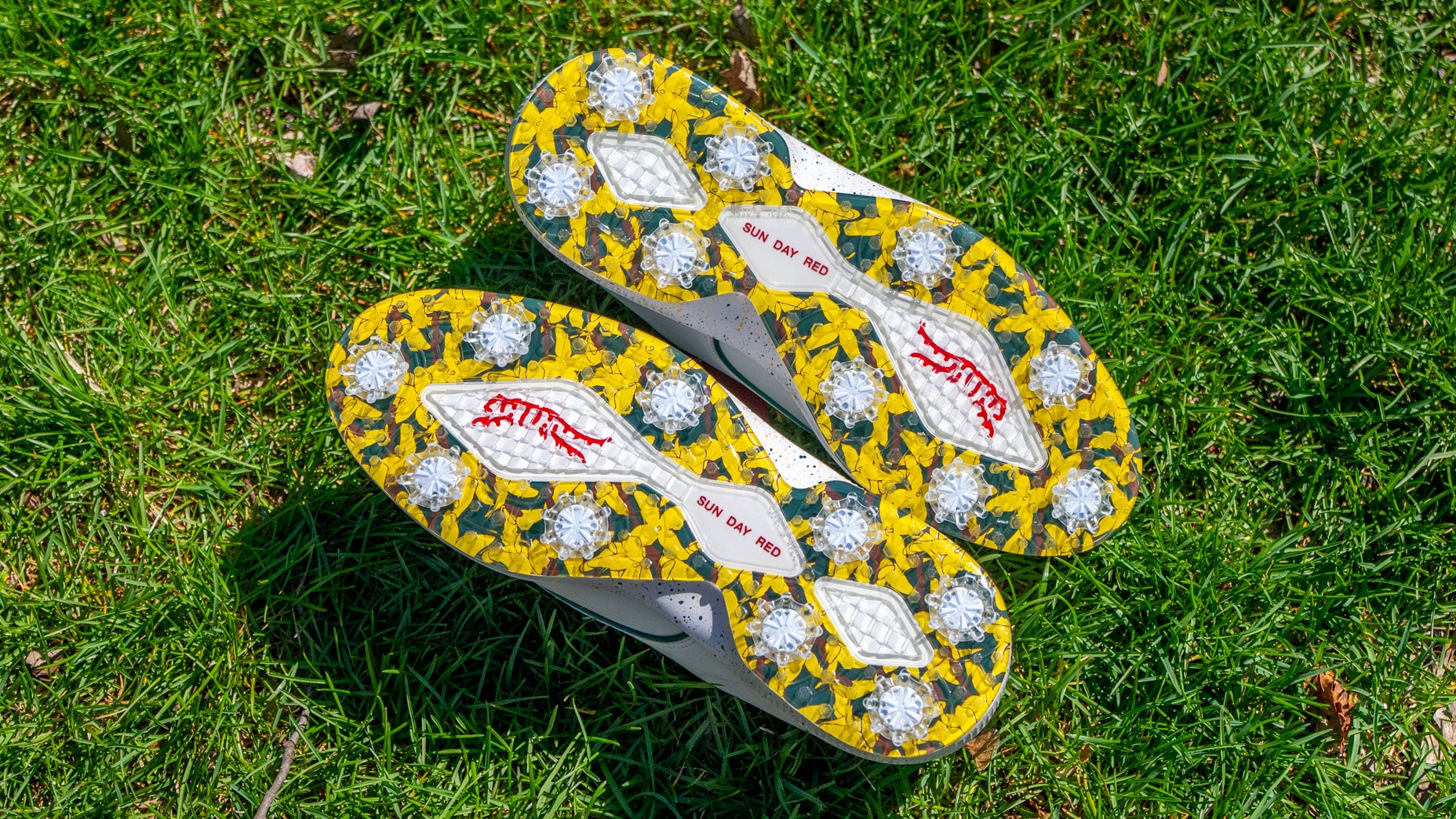 Sun Day Red Pioneer Willow LE spike pattern