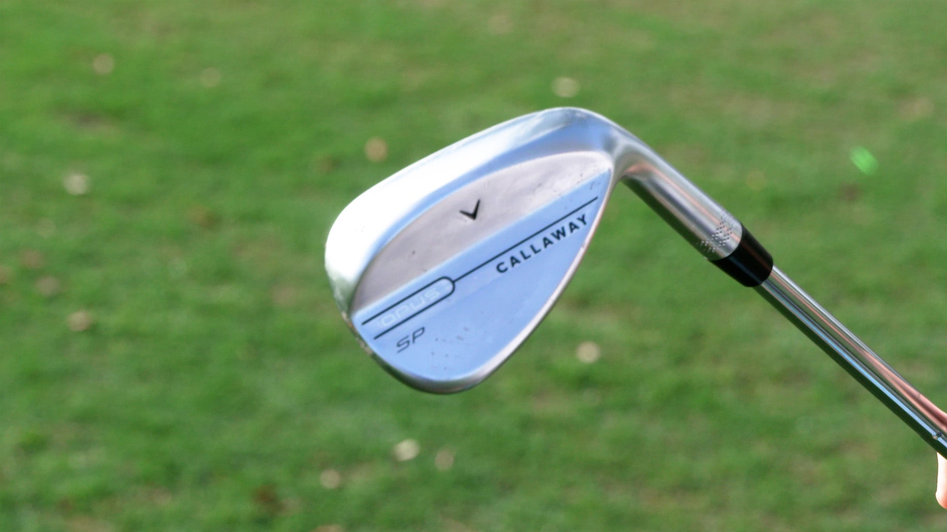 A close-up of a Callaway golf iron labeled SP held outdoors, with a green grassy background out of focus.
