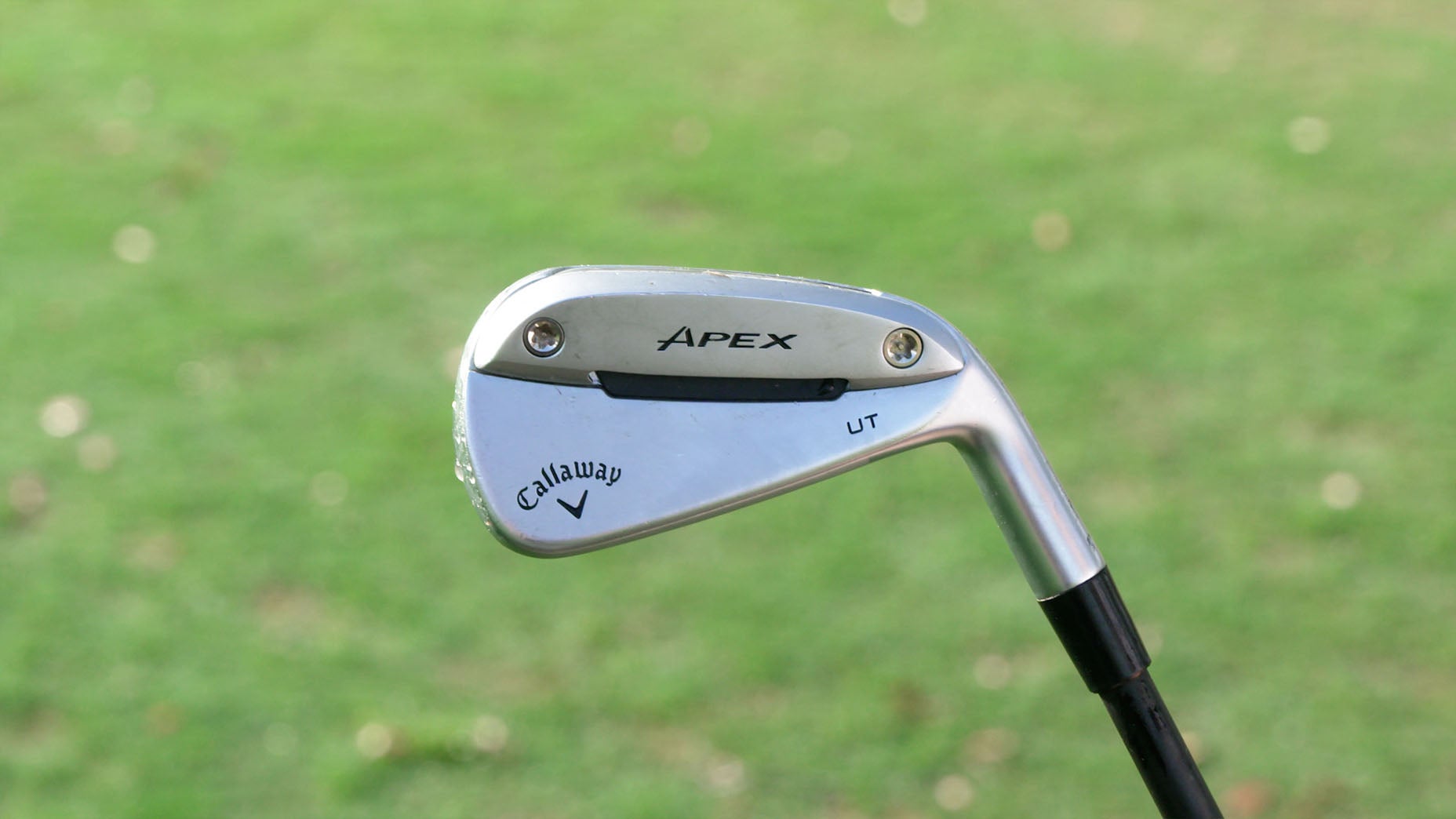 A close-up of a Callaway Apex UT golf iron with a silver head, photographed outdoors with a blurred green grass background.