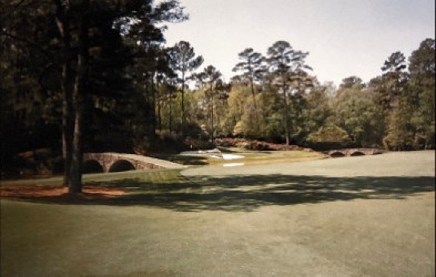 Joe Damiano Senior's photos from looping at the Masters.