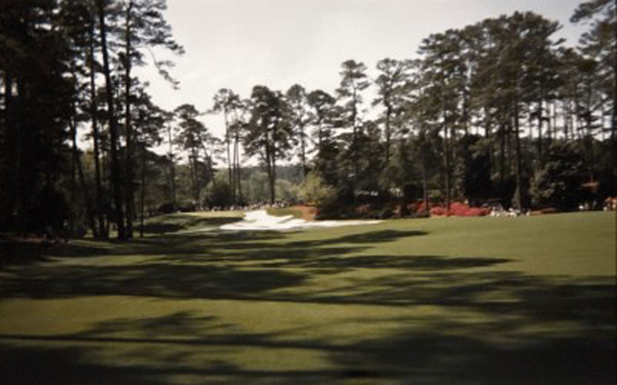 Joe Damiano Senior's photos from looping at the Masters.