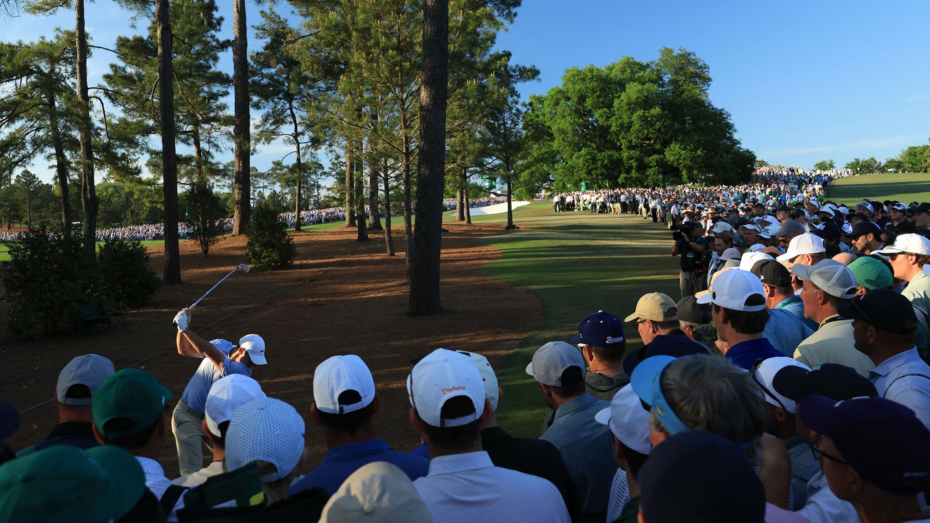Rory McIlroy swings a club through a wooded area as a large crowd watches, standing close together under tall pine trees on a hot day.