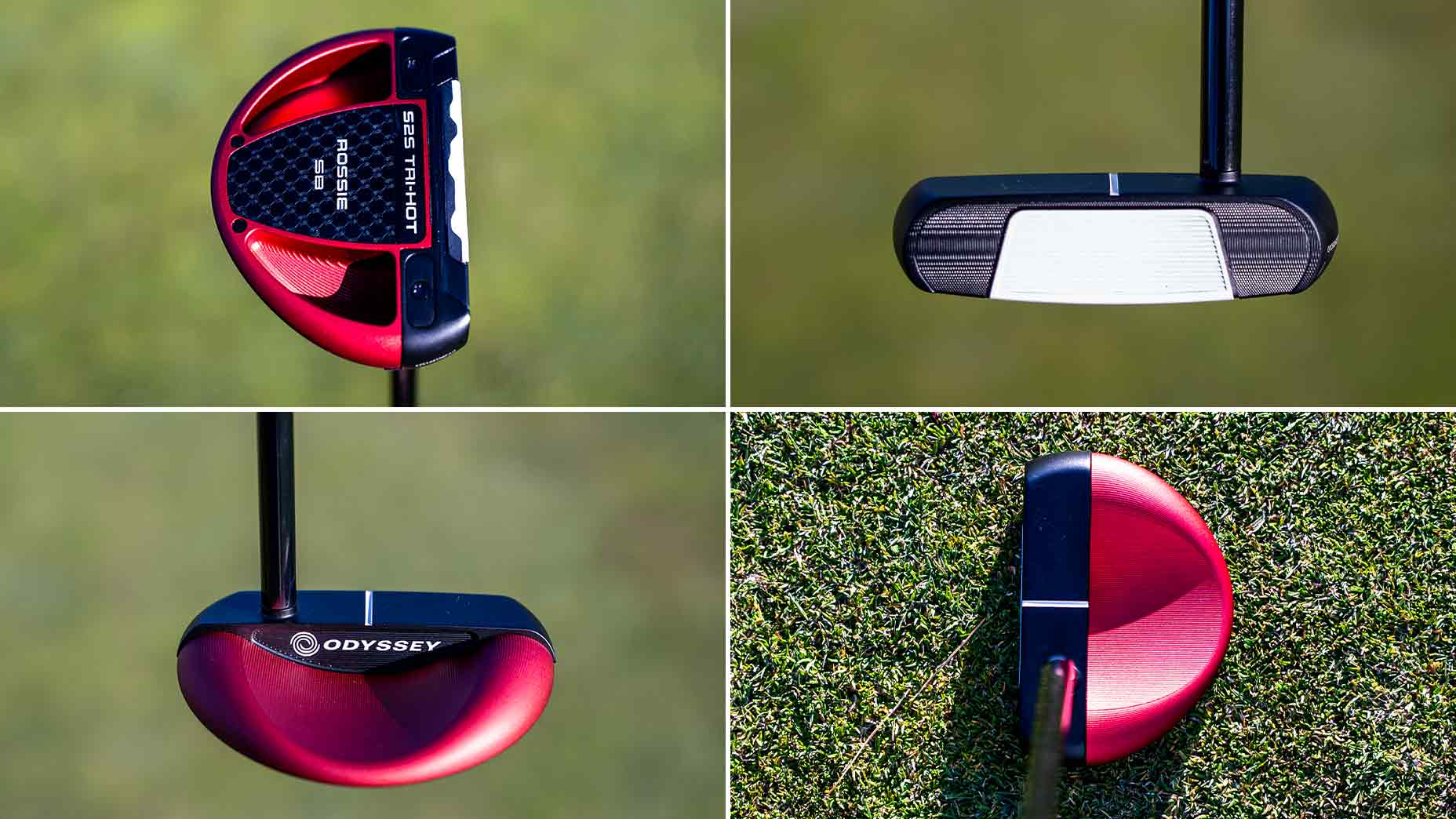 Odyssey S2S Tri-Hot SB Rossie