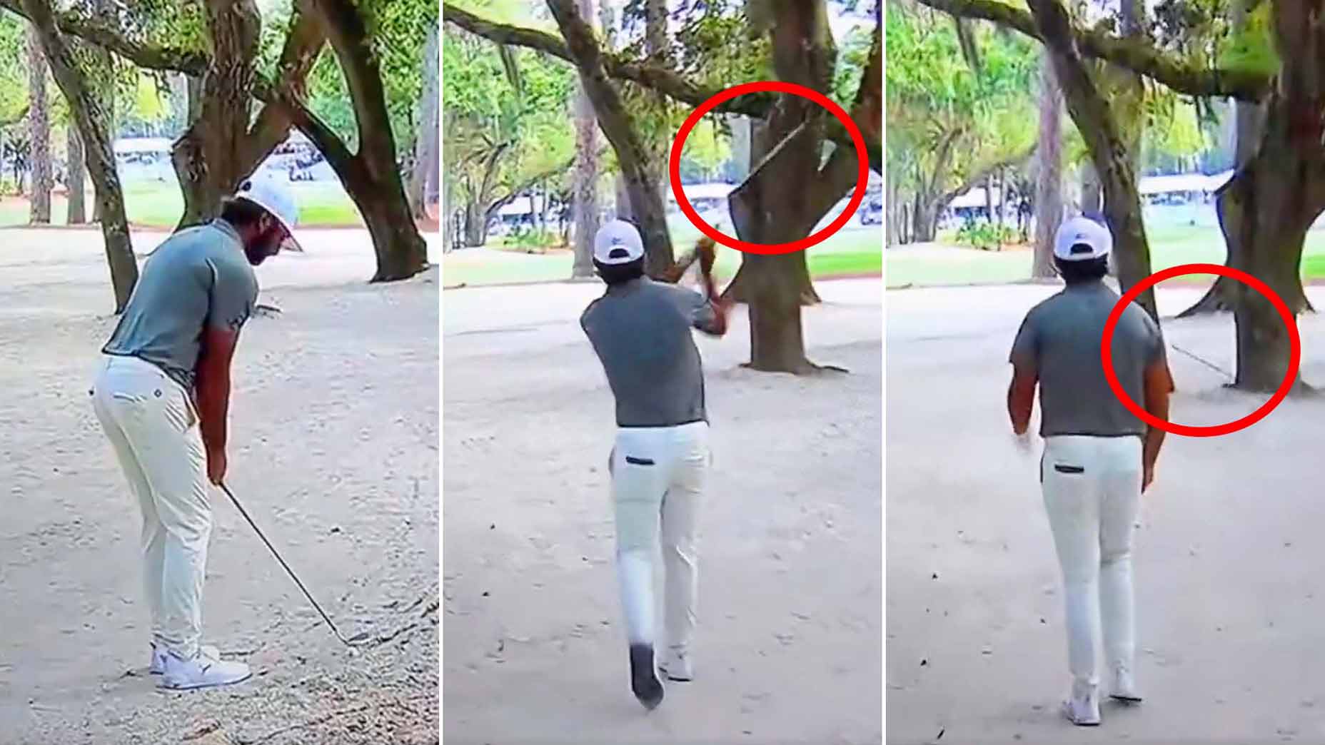 PGA Tour pro Max Homa throws his golf club into a palm tree at the 2026 RBC Heritage.