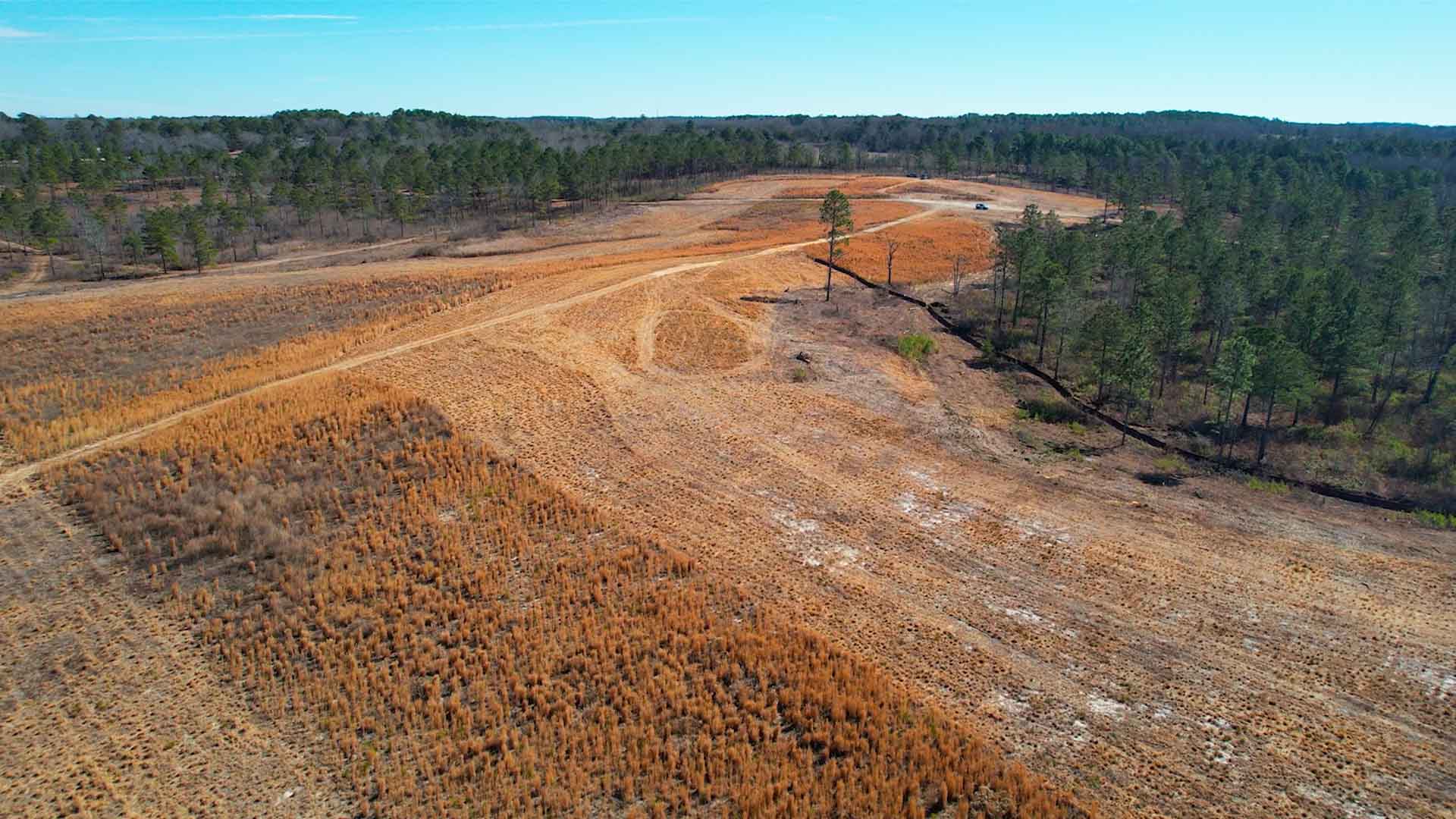 Aerial view of a dry, open field near Aiken with sparse grass and a few scattered trees, bordered by a forested area under a clear blue sky. Dirt paths cross through the landscape.